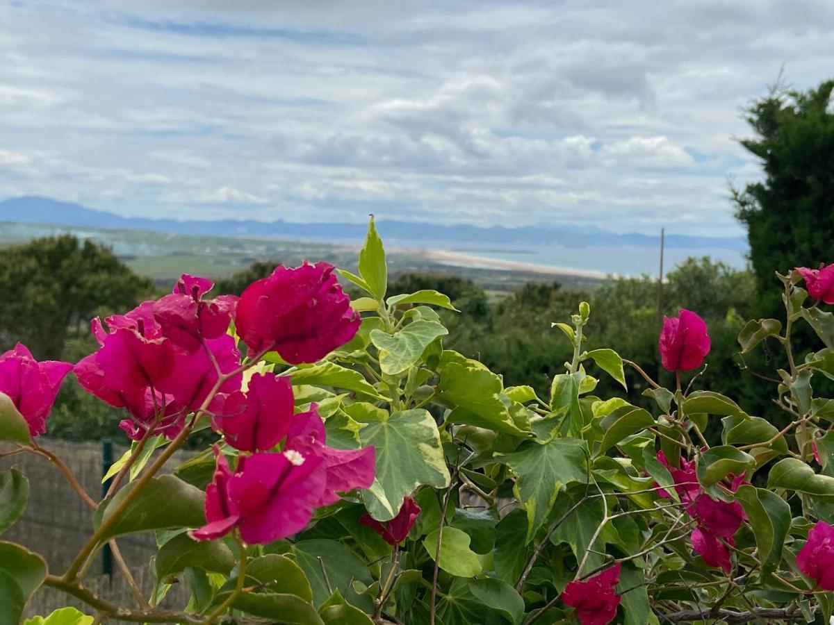 Rural Tarifa Beach Las Cabanas Екстериор снимка