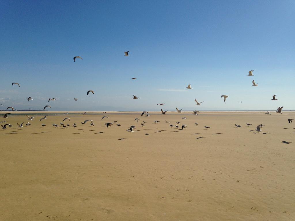 Rural Tarifa Beach Las Cabanas Екстериор снимка